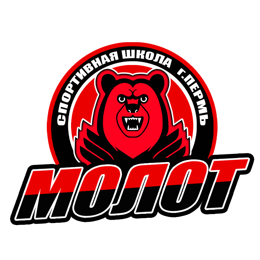 логотип новый-1764241988.png